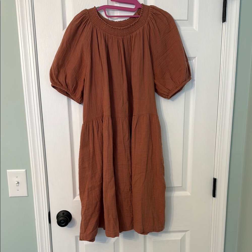 Brown Dress